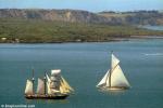 ID 2059 SPIRIT OF NEW ZEALAND (1986/184grt/IMO 8975603) a barquentine operated by the Auckland-based Spirit of Adventure trust, passes MOONBEAM (1914, rebuilt 2001) a gaff cutter-rigged classic yacht in the...